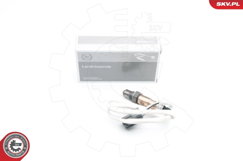 Oxygen Sensor